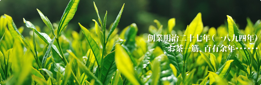 創業明治27年(1894年)お茶一筋、百有余年